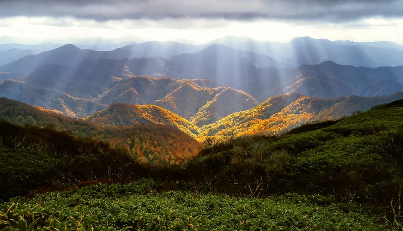 지리산주택 핵심 안내 인포그래픽 2